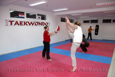 taekwondo kwon training